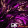 Diaspora The Parkway Soca (WAV) - сэмплы Soca, Calypso, Chutney, Soul/Funk, Latin Diaspora The Parkway Soca (WAV) - сэмплы Soca, Calypso, Chutney, Soul/Funk, Latin