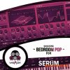 Vandalism Shocking Bedroom Pop For Serum (Serum presets) Vandalism Shocking Bedroom Pop For Serum (Serum presets)