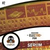 Vandalism Shocking Electro 2 For Serum (Serum presets)