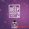 Vandalism Ultra Deep House Vocals 2 (MULTiFORMAT) - сэмплы вокала Vandalism Ultra Deep House Vocals 2 (MULTiFORMAT) - сэмплы вокала