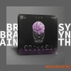 Thenatan Brain Intelligent Synth v1.1.0 WIN-OSX RETAiL (SYNTHiC4TE) - программный синтезатор Thenatan Brain Intelligent Synth v1.1.0 WIN-OSX RETAiL (SYNTHiC4TE) - программный синтезатор