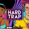 Audentity Records Hard Trap 5 (MULTiFORMAT) - сэмплы Trap Audentity Records Hard Trap 5 (MULTiFORMAT) - сэмплы Trap