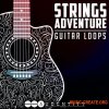 Audentity Records Strings Adventure (WAV) - сэмплы акустической гитары Audentity Records Strings Adventure (WAV) - сэмплы акустической гитары