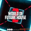 Audentity Records World Of Future House 2 (MULTiFORMAT) - сэмплы Future House Audentity Records World Of Future House 2 (MULTiFORMAT) - сэмплы Future House