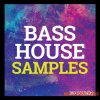 Big Sounds Bass House Samples (MULTiFORMAT) - сэмплы Bass House Big Sounds Bass House Samples (MULTiFORMAT) - сэмплы Bass House