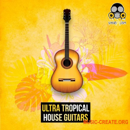 Vandalism Ultra Tropical House Guitars (WAV) - гитарные сэмплы