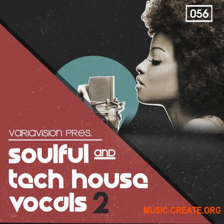Bingoshakerz Soulful And Tech House Vocals 2