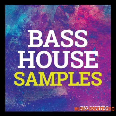 Big Sounds Bass House Samples (MULTiFORMAT) - сэмплы Bass House