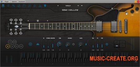 Ample Sound Ample Guitar Semi Hollow