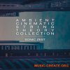Sonic Zest Ambient Cinematic String Theory Collection (KONTAKT) - библиотека струнных Ambient Sonic Zest Ambient Cinematic String Theory Collection (KONTAKT) - библиотека струнных Ambient