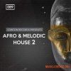 Bingoshakerz - Afro & Melodic House 2 by Lowton Records (WAV, REX2, MIDI) - сэмплы House Bingoshakerz - Afro & Melodic House 2 by Lowton Records (WAV, REX2, MIDI) - сэмплы House