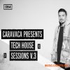 Bingoshakerz Caravaca: Tech House Sessions 3 (WAV, MIDI, REX2) - сэмплы Tech House Bingoshakerz Caravaca: Tech House Sessions 3 (WAV, MIDI, REX2) - сэмплы Tech House