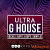 Audentity Records Ultra G-House (MULTiFORMAT) - сэмплы G-House, Dirty House, Trap, Bass House Audentity Records Ultra G-House (MULTiFORMAT) - сэмплы G-House, Dirty House, Trap, Bass House
