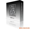 King OZ DSPplug ZDF de-plosive v1.2 RETAiL WIN x86 x64 (Team DECiBEL) - плагин оптимизации и фильтрации частот сигнала King OZ DSPplug ZDF de-plosive v1.2 RETAiL WIN x86 x64 (Team DECiBEL) - плагин оптимизации и фильтрации частот сигнала