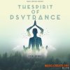 Trance Euphoria The Spirit Of Psytrance For Spire (Spire presets, MIDI) Trance Euphoria The Spirit Of Psytrance For Spire (Spire presets, MIDI)