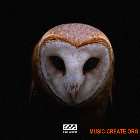 Soul Surplus Thank Me Now (WAV) - сэмплы Hip Hop