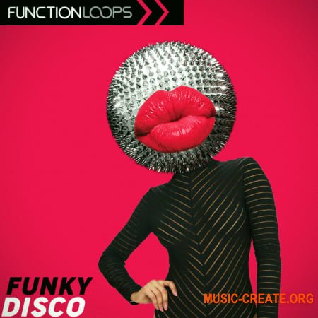 Function Loops Funky Disco WAV