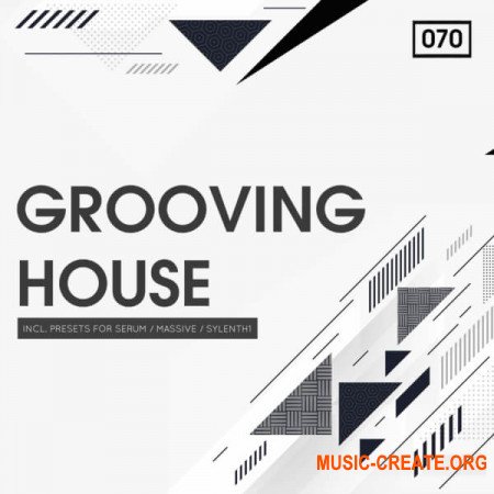 Bingoshakerz Grooving House (WAV, REX2, Serum, Sylenth1, Massive Presets) - сэмплы House