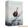 Waverunner Audio Alder Cello (KONTAKT) - библиотека звуков виолончели Waverunner Audio Alder Cello (KONTAKT) - библиотека звуков виолончели