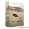 Waverunner Audio Alder Violin (KONTAKT) - библиотека звуков скрипки Waverunner Audio Alder Violin (KONTAKT) - библиотека звуков скрипки