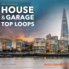 Audio Culture House and Garage Top Loops (WAV) - сэмплы House, Bass House, Classic House, Deep House, Dub House, Tech House, Garage Audio Culture House and Garage Top Loops (WAV) - сэмплы House, Bass House, Classic House, Deep House, Dub House, Tech House, Garage