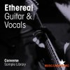 Converse Sample Library Ethereal Guitar and Vocals (WAV) - сэмплы вокала, гитары Converse Sample Library Ethereal Guitar and Vocals (WAV) - сэмплы вокала, гитары