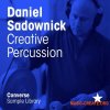 Converse Sample Library Daniel Sadownick Creative Percussion (WAV) - сэмплы перкуссии