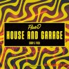 Splice Sounds Flava D's House and Garage Sample Pack (WAV) - сэмплы House, Garage