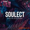 SynthHacker Soulect For Xfer Records Serum - пресеты Serum SynthHacker Soulect For Xfer Records Serum - пресеты Serum