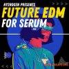 Hy2rogen Future EDM (Serum presets) Hy2rogen Future EDM (Serum presets)