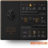 Karanyi Sounds Continuo 2 Anr1 Modz version (KONTAKT) - библиотека кинематографической фортепианной текстуры Karanyi Sounds Continuo 2 Anr1 Modz version (KONTAKT) - библиотека кинематографической фортепианной текстуры