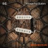 Sonic Collective Vintage Pop Guitars (WAV) - сэмплы классических электрогитар Sonic Collective Vintage Pop Guitars (WAV) - сэмплы классических электрогитар