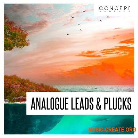 Concept Samples Analogue Leads and Plucks (WAV) - сэмплы EDM, Pop, Dance