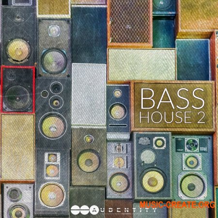 Audentity Records Bass House Vol 2 (MULTiFORMAT) - сэмплы Bass House, Future House, G-House