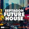 Big EDM Septagon Future House (MULTiFORMAT) - сэмплы Future House