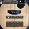 Edu Prado Sounds Guitarmonics (KONTAKT) - библиотека акустической гитары