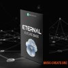 EDM Templates ETERNAL Future Bass Bundle (MiDi, SERUM, ALS) - сэмплы Future Bass EDM Templates ETERNAL Future Bass Bundle (MiDi, SERUM, ALS) - сэмплы Future Bass