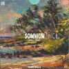 Daniel Moras Somnium Sample Library (WAV) - сэмплы Hip Hop, Lo Fi, Trap, Rap
