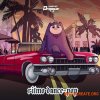 Dropgun Samples Ritmo Dance Pop (WAV) - сэмплы Reggaeton