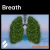Splice Explores Breath (WAV) - сэмплы вокала Splice Explores Breath (WAV) - сэмплы вокала