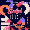 Loopoholics Soulful House Construction Kits (MULTiFORMAT) - сэмплы Deep, Soulful House Loopoholics Soulful House Construction Kits (MULTiFORMAT) - сэмплы Deep, Soulful House