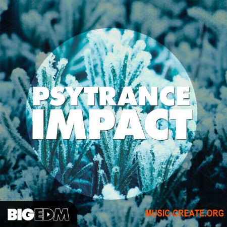 Big EDM Psytrance Impact
