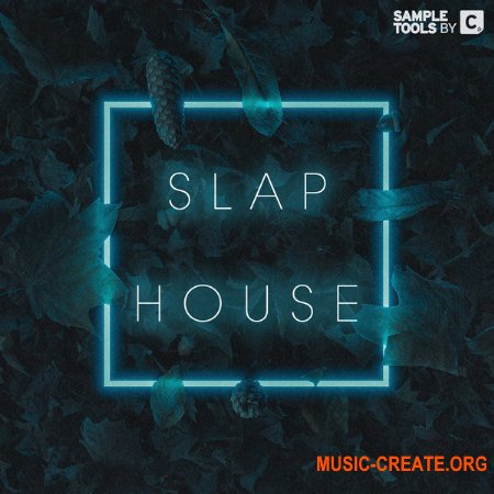 Sample Tools by Cr2 Slap House (WAV, MiDi) - сэмплы Slap House, House