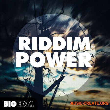 Big EDM Riddim Power