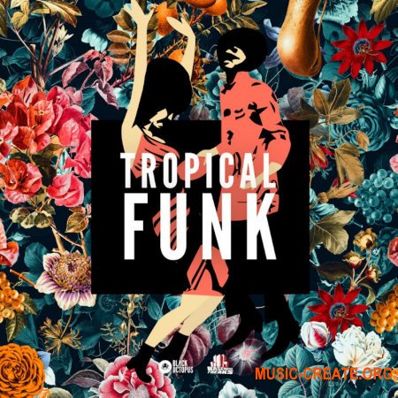 Black Octopus Sound Tropical Funk by Basement Freaks (WAV) - сэмплы Tropical Funk, Funk