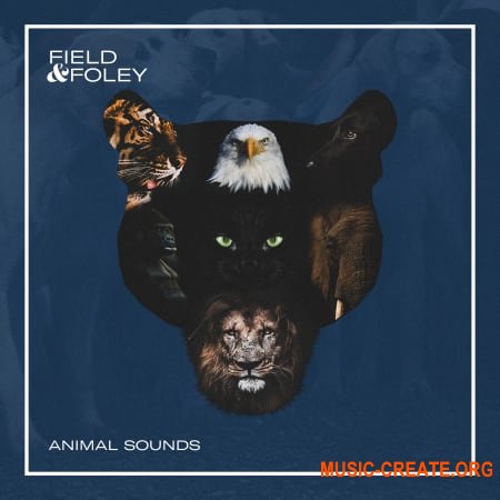 Field and Foley Animal Sounds (WAV) - сэмплы звуков животных