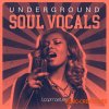 Loopmasters Underground Soul Vocals (WAV) - сэмплы вокала Loopmasters Underground Soul Vocals (WAV) - сэмплы вокала