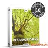 Boom Library Deciduous Forests STEREO (WAV) - сэмплы эффектов звука леса