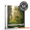 Boom Library Coniferous Forests STEREO (WAV) - сэмплы эффектов, звуков хвойного леса Boom Library Coniferous Forests STEREO (WAV) - сэмплы эффектов, звуков хвойного леса