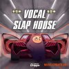 Dropgun Samples Vocal Slap House (WAV) - сэмплы вокала Slap House Dropgun Samples Vocal Slap House (WAV) - сэмплы вокала Slap House